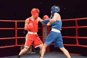 爱游戏电竞-拳击赛场再起风云:胶东青龙队失利中原火狐队,赛场气氛火爆门前嗅觉决定胜负的简单介绍